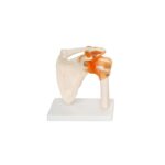 RAMENSKI SKLEP 11209-3 – Bild 6