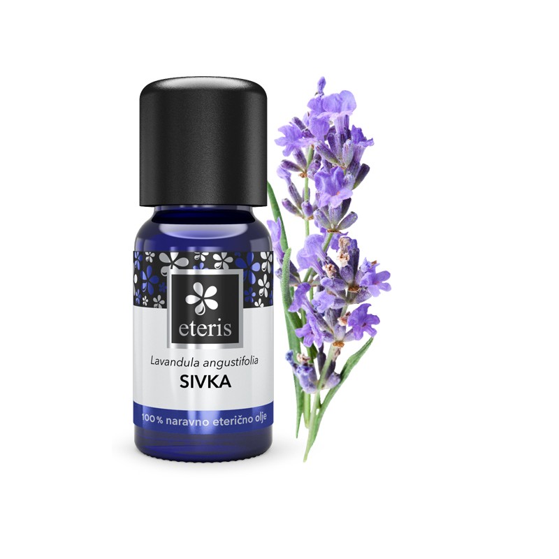 9d66edaf4345_sivka-rastlina-1.jpg Sivka eterično olje (CT Lavandula angustifolia) – Bild 1